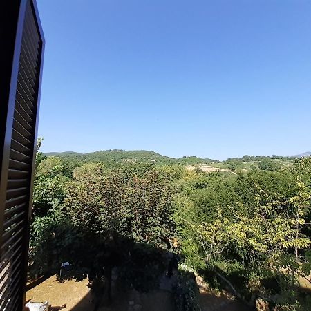 Villa Le Palmine Palazzone Kültér fotó