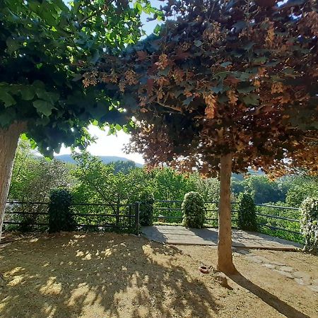 Villa Le Palmine Palazzone Kültér fotó
