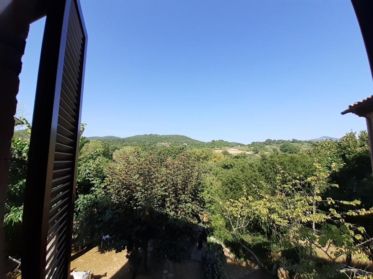 Villa Le Palmine Palazzone Kültér fotó
