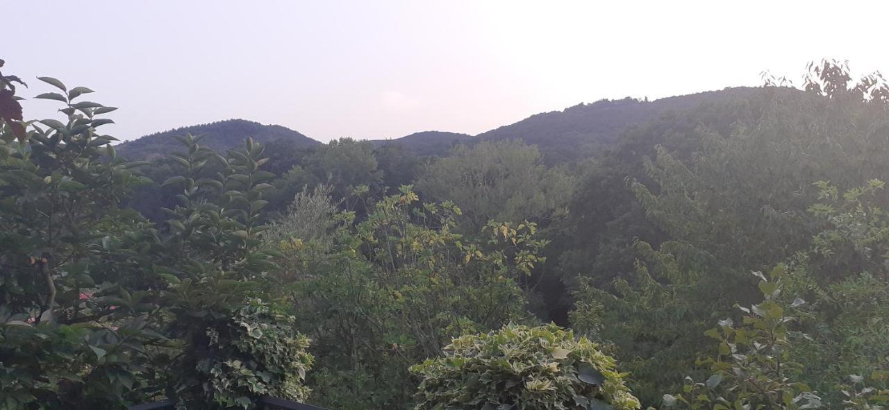 Villa Le Palmine Palazzone Kültér fotó
