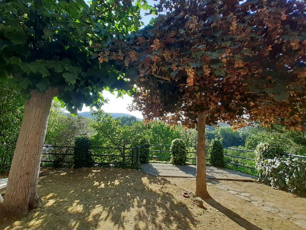 Villa Le Palmine Palazzone Kültér fotó
