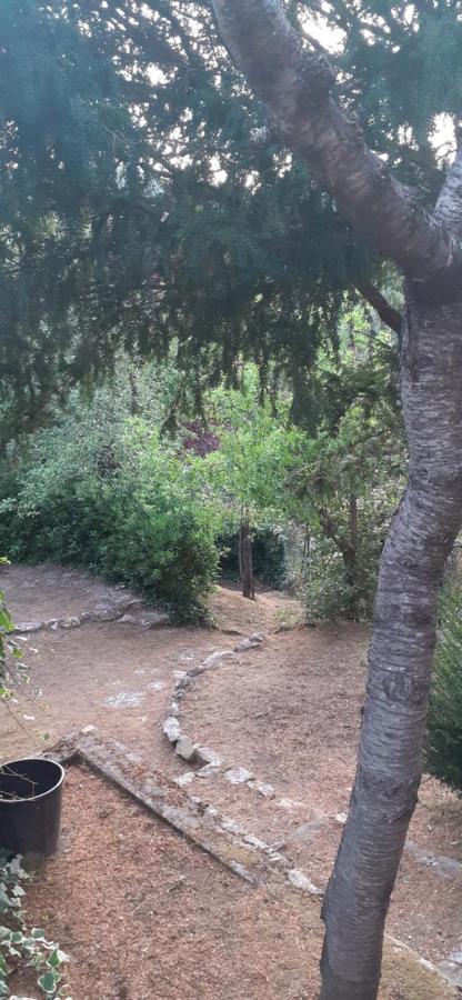 Villa Le Palmine Palazzone Kültér fotó